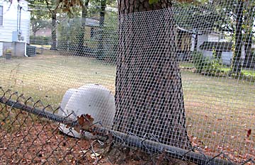 Unchain Your Dog Extend Height of Fence Make Fence Taller Keep Dog from Jumping Fence